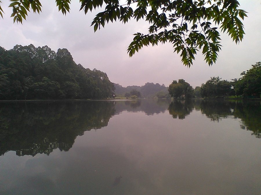 Danau Situ Gede, wisata alami yang murah tapi memukau. Tak jauh dari Terminal Bubulak dan Penangkaran Rusa.