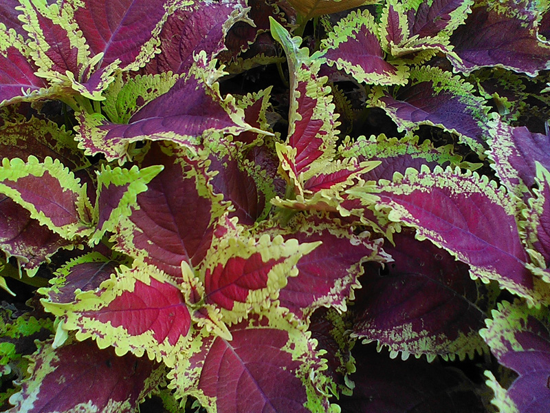 A little closer, more beautiful ...