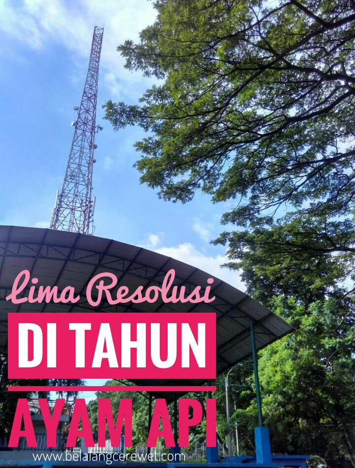 a83bc517ccbe66d70b4f2728c5042aa644370e93-01.jpeg image