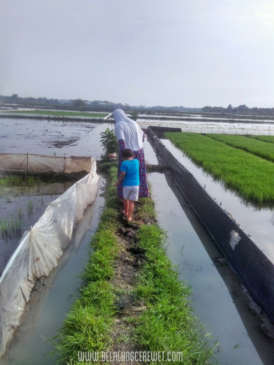 1493340657186.jpg image