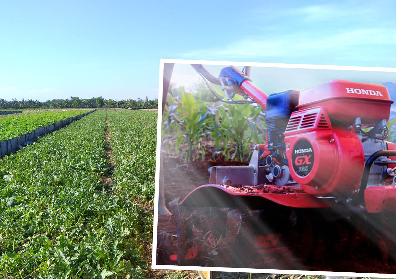 honda gx 200 rahasia petani sukses